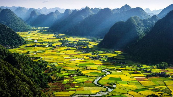 VẬN CHUYỂN HÀNG ĐÔNG BẮC